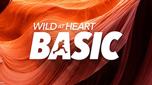 donderdag 31 oktober t/m zondag 3 november - Wild at Heart Basic Helvoirt