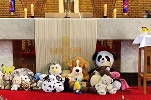 zondag 4 oktober - Gezinsviering in het teken van Dierendag
